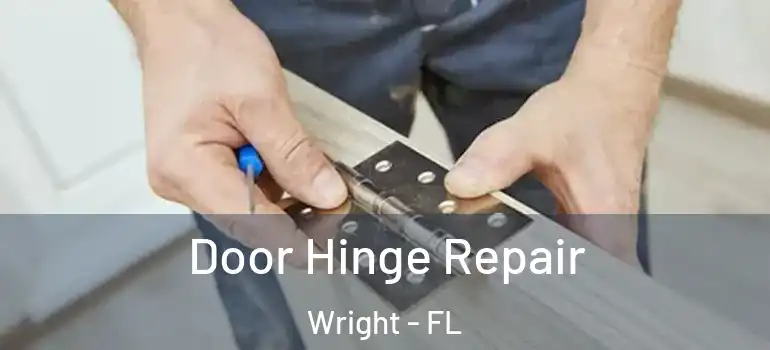  Door Hinge Repair Wright - FL