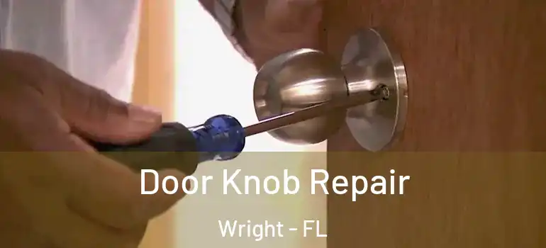  Door Knob Repair Wright - FL