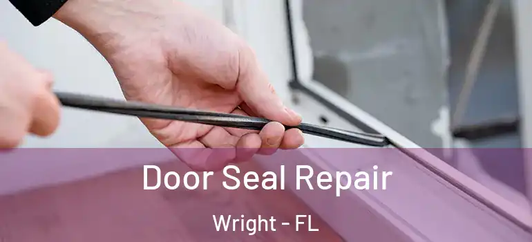  Door Seal Repair Wright - FL
