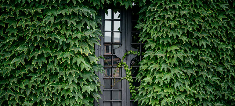 Garden Gate Repair in Wright, FL