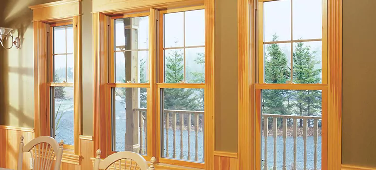 Government Incentives For Replacement Windows in Wright, FL