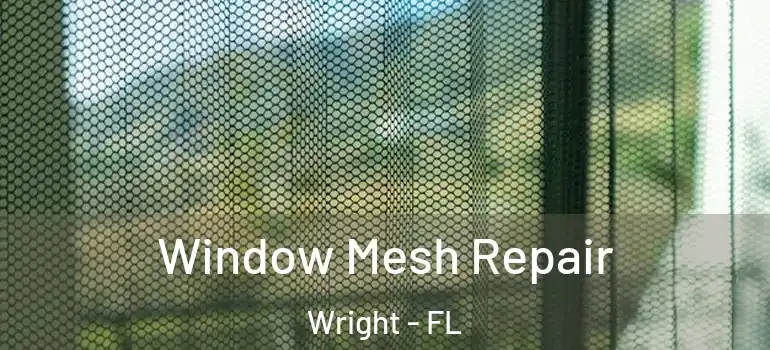  Window Mesh Repair Wright - FL